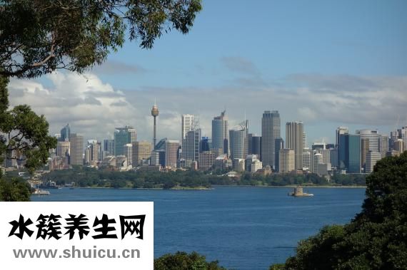 澳州魚油怎么樣