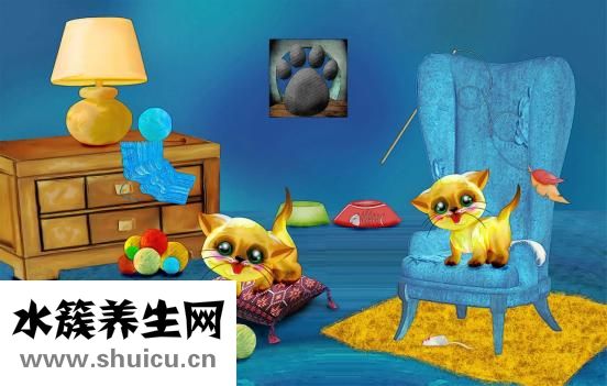 從頭開(kāi)始生發(fā)怎么樣