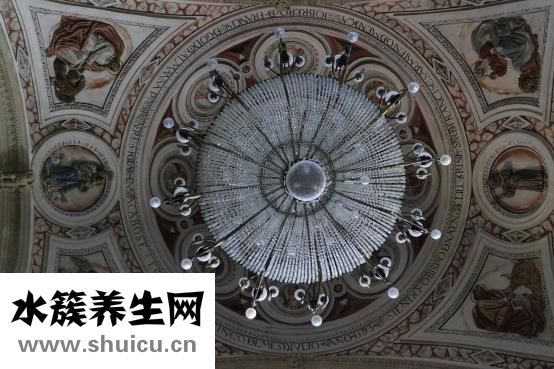 楊大清醫(yī)生怎么樣