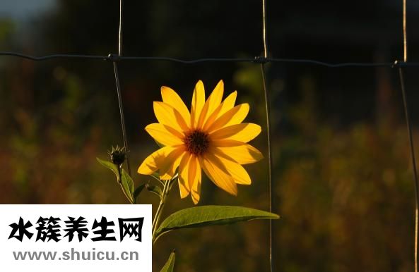 春夏秋冬怎么分