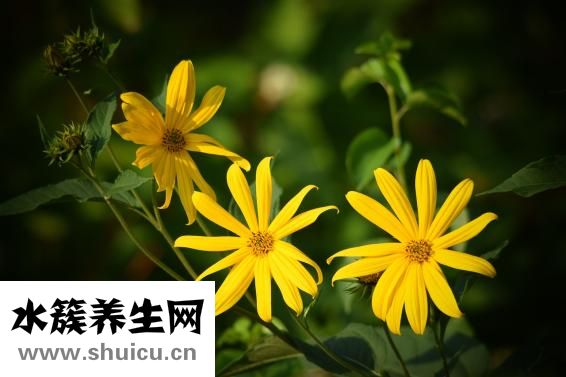 春夏秋冬怎么分