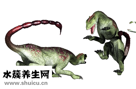 毒蜂中端怎么樣