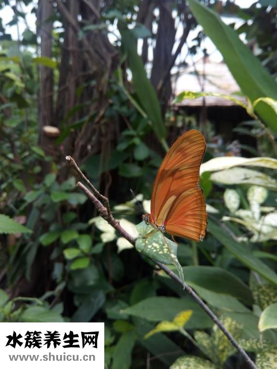 星恒教育怎么樣