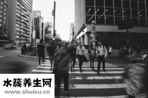 韓廚養生鍋怎么樣