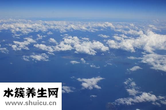 白云豆輕身丸怎么樣