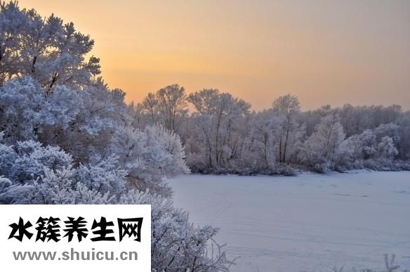 感冒干咳怎么辦