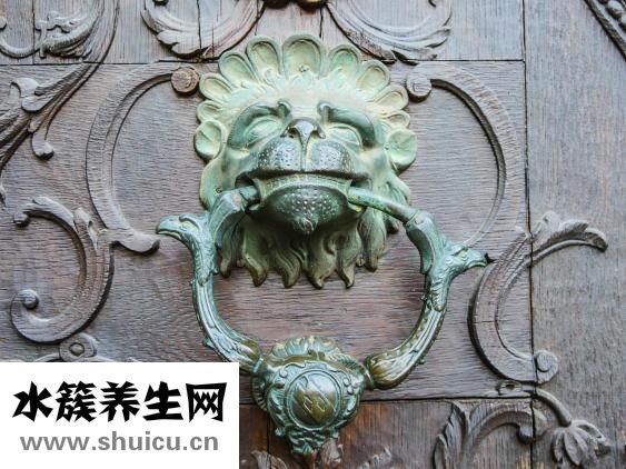 閱微基因怎么樣