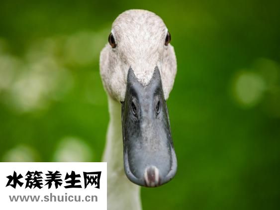 中風(fēng)流涎怎么樣治療