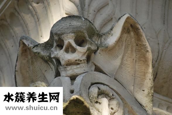 怎么樣快速煮排骨粥