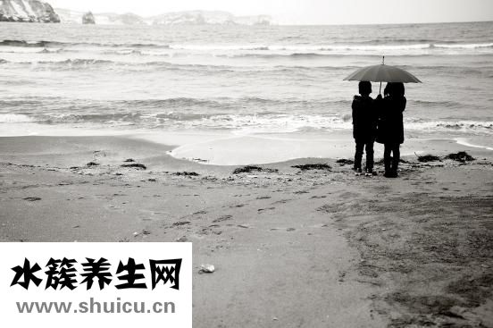 韓廚養生鍋怎么樣