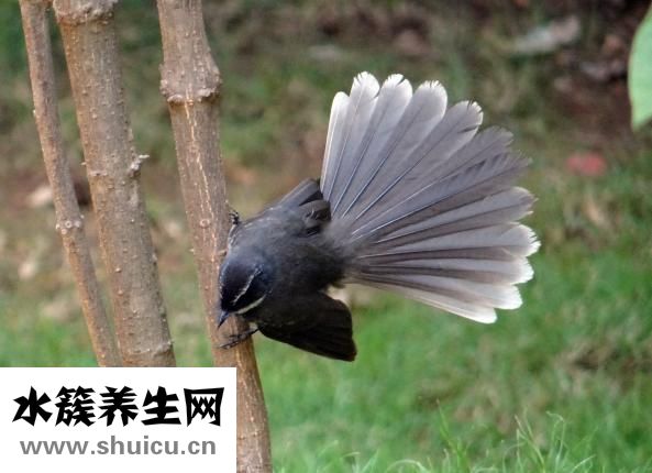 如何辦理結(jié)婚證