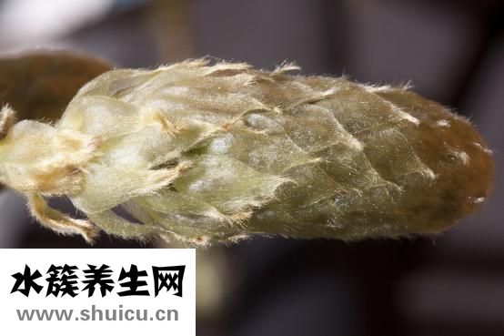 怎么樣防止癌癥