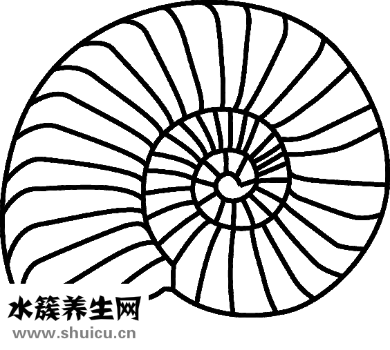 圓臉做什么發型好看