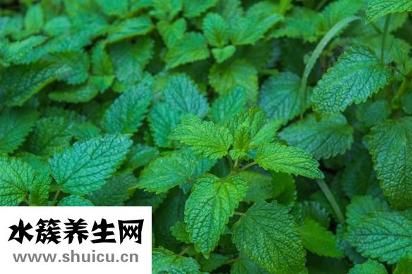 巴奴火鍋上班怎么樣