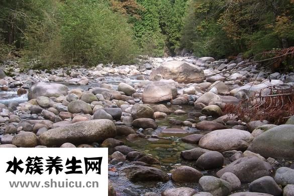 怎么樣讓眉毛長出來