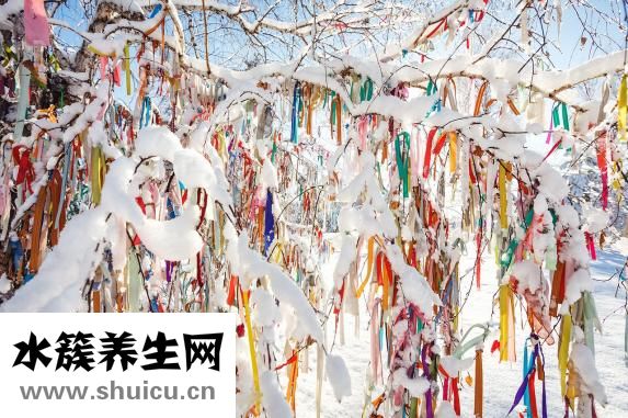 丹尼熊包怎么樣