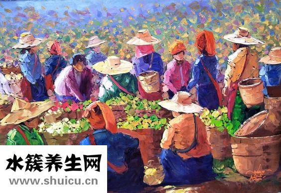 什么人不適合喝綠茶