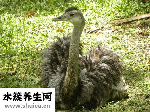 脖子皮膚松弛怎么辦