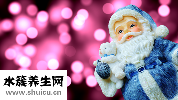 老年人吃什么補品好