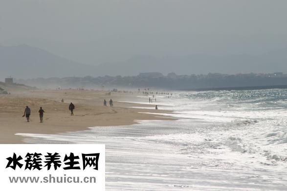 怎么樣發海螺干