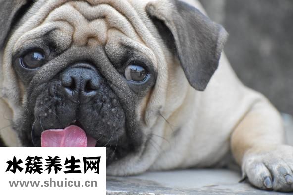 臉發熱是怎么回事