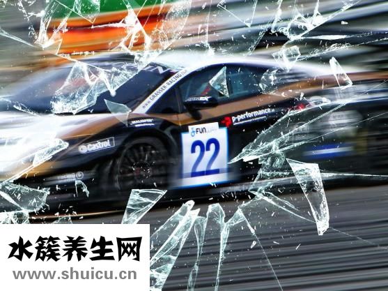 樹懶為什么這么慢