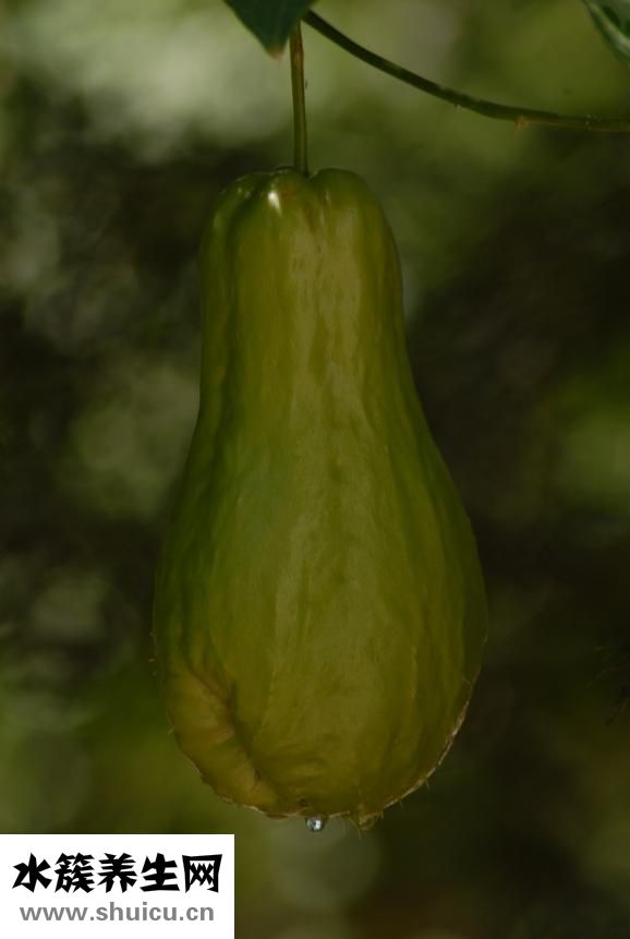 怎么樣延長時間