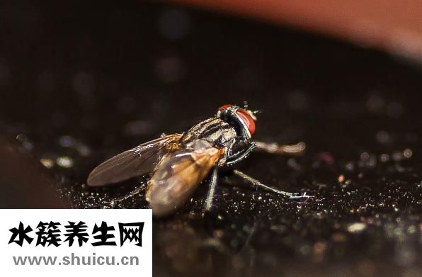 如何安裝攝像頭