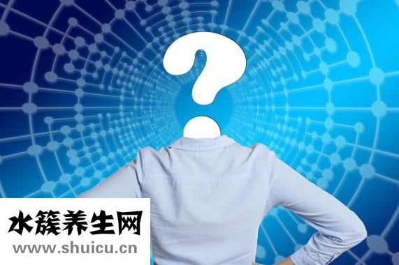 現在鮭魚怎么樣