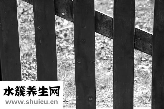 柒加尚品怎么樣