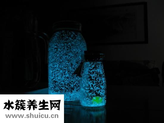 夜狼酒怎么樣