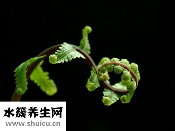 柯受良怎么去世的