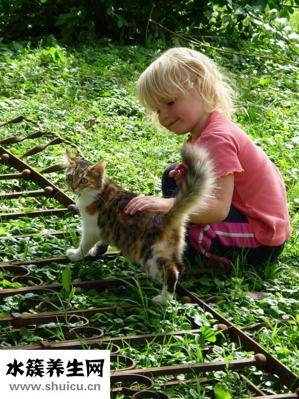 孩子成績不好怎么辦