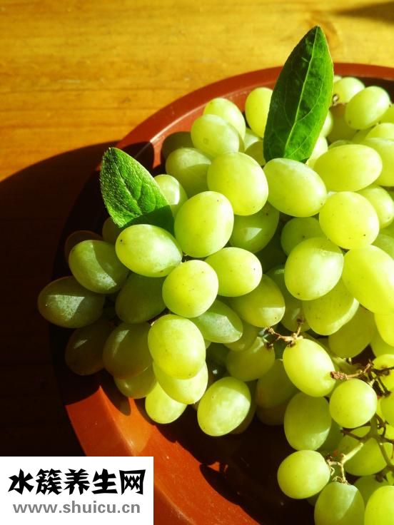 樸槿惠為什么不結婚