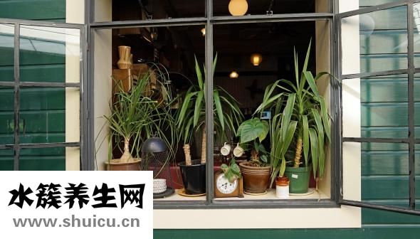 如何看陰宅風水