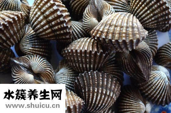 扇貝英語怎么樣