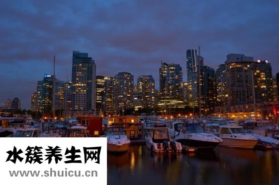 老年人吃什么補品好