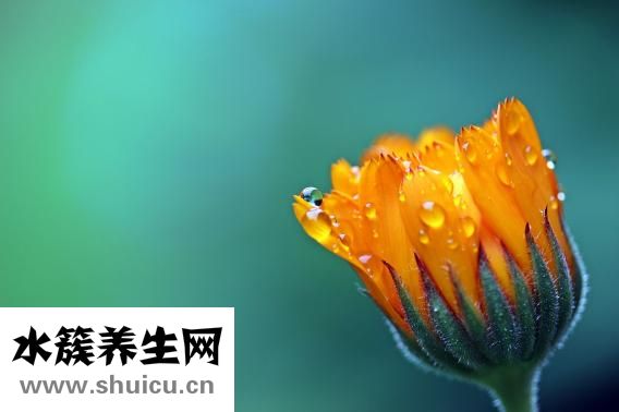 裙子英文怎么寫