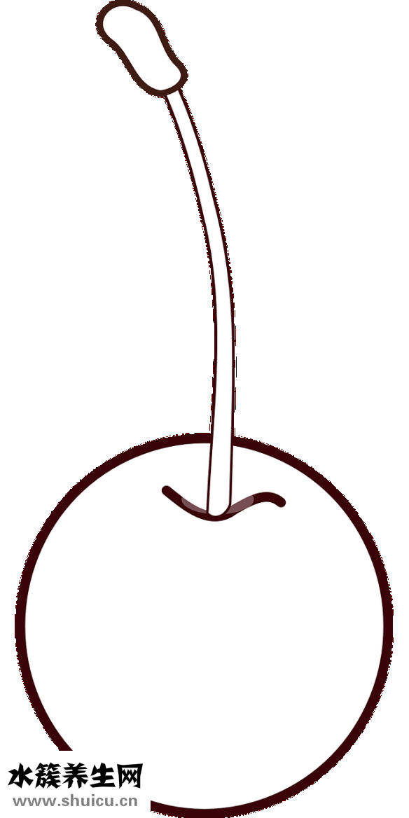 圓臉做什么發型好看