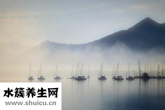 同濟張文怎么樣