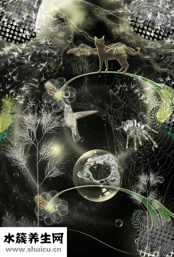 印度格列衛(wèi)怎么樣