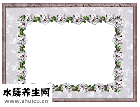 達芙妮雪地靴怎么樣