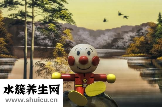 保蘭德包怎么樣