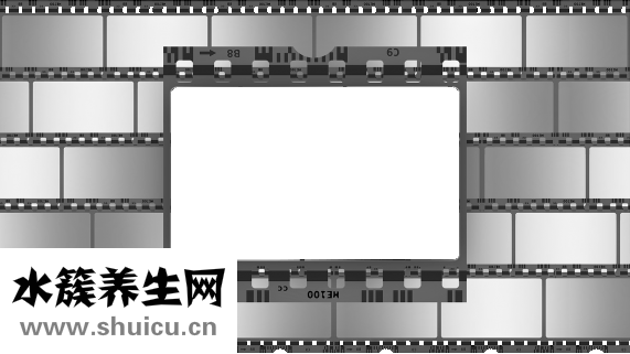 現在鮭魚怎么樣