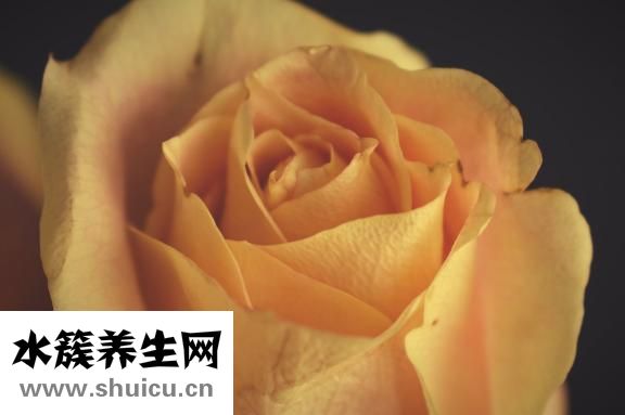 黃煌看病怎么樣