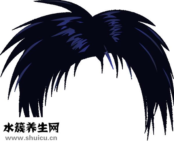 吃什么食物對頭發(fā)好