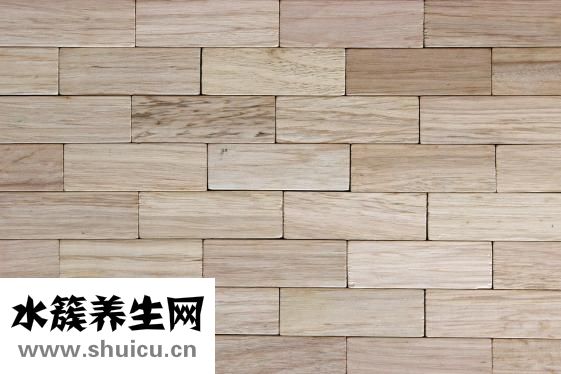 怎么樣才能減肚子