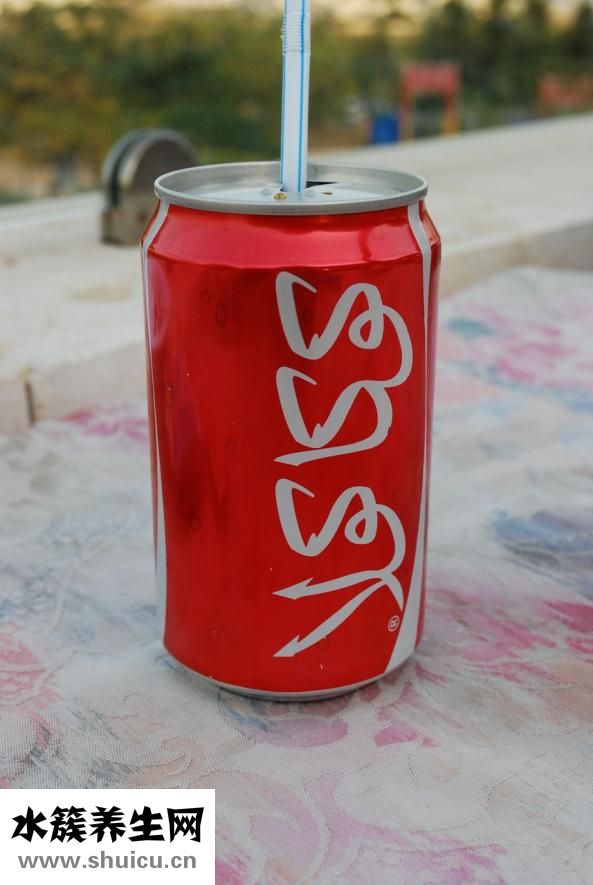 品愛(ài)加盟怎么樣