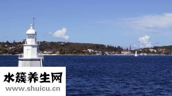 澳洲版愛他美怎么樣