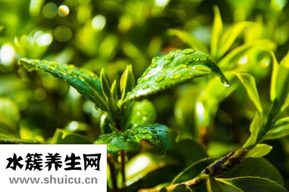 如何看陰宅風水